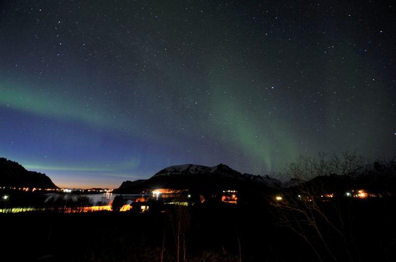 Holiday Home Lofoten Lyngværet Εξωτερικό φωτογραφία