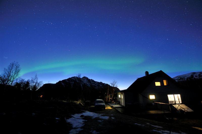 Holiday Home Lofoten Lyngværet Εξωτερικό φωτογραφία