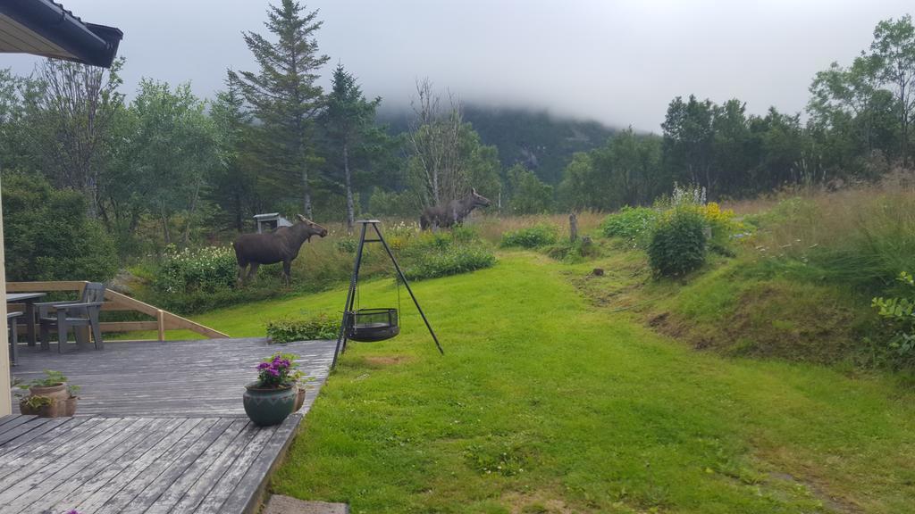 Holiday Home Lofoten Lyngværet Εξωτερικό φωτογραφία